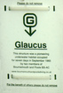 Glauxus plaque